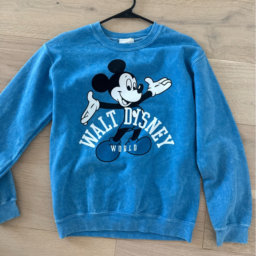 Disney World Blue Sweater